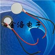 2.4M霧化片,陶瓷霧化片,20mm封裝 2.4M霧化片,陶瓷霧化片,20mm封裝